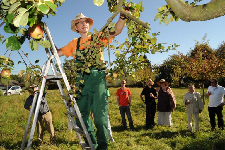 Never Run Out of Ideas: Top Tips for Generating Fresh Blog Topics