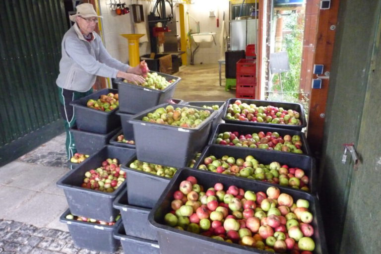 Building a Loyal Blog Audience: Strategies for Engagement and Growth